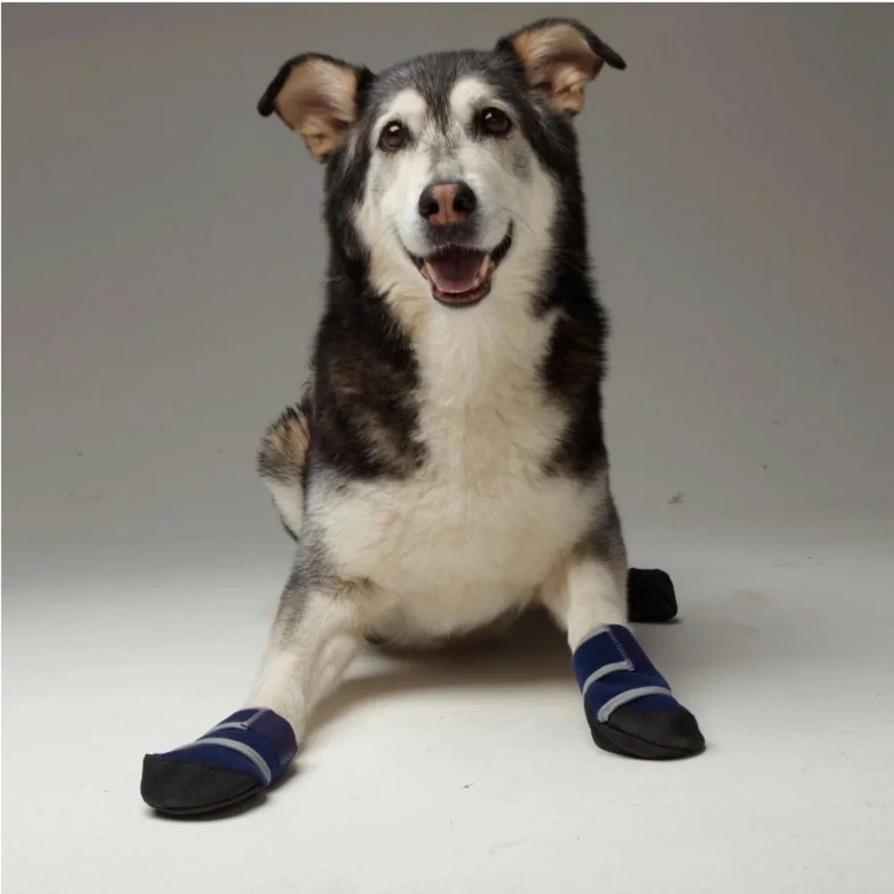 HEALERS MEDICAL DOG BOOTS, Pet Apparel for Large Dogs (75-90lb).